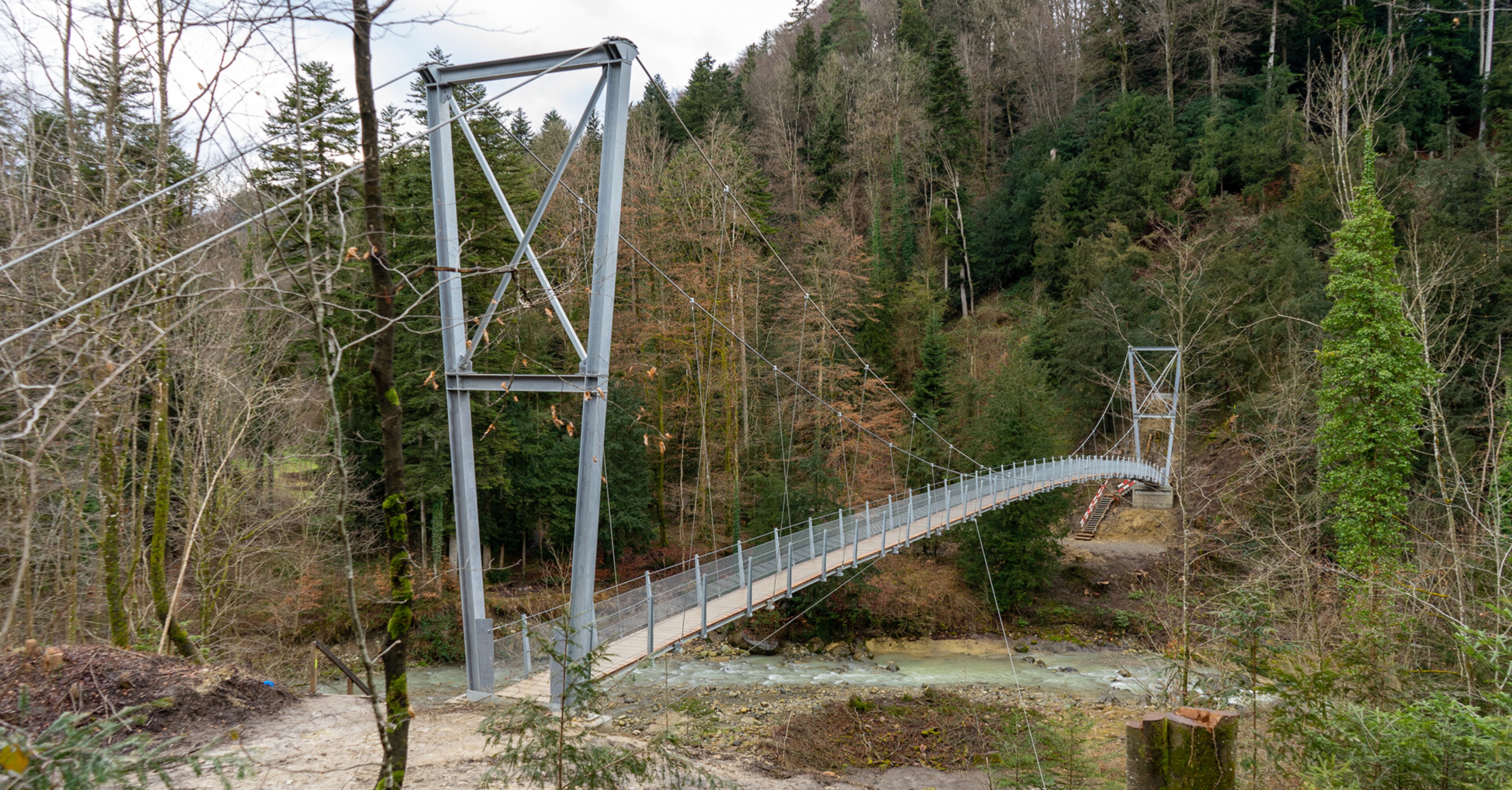 Fussgängerbrücke Goldach